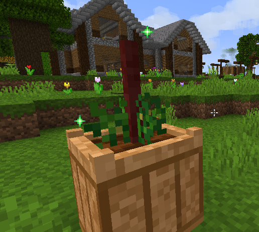 tomato2.png tomato2.png