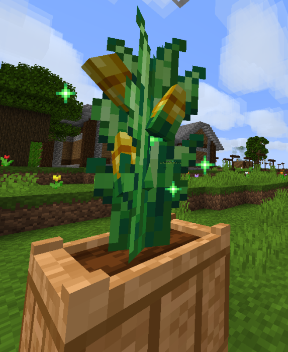 corn4.png corn4.png