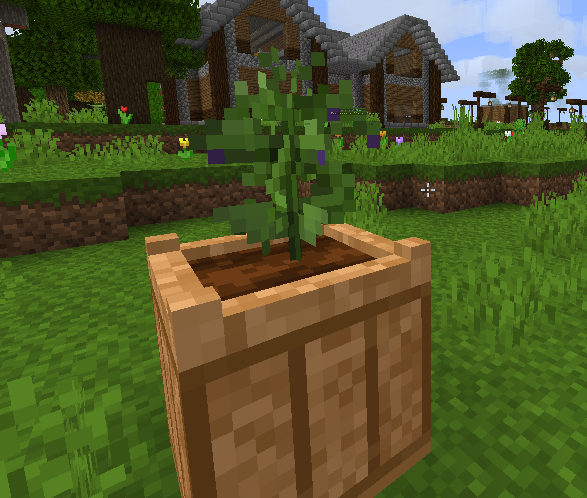 eggplant3.png eggplant3.png