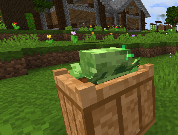 cabbage4.png cabbage4.png