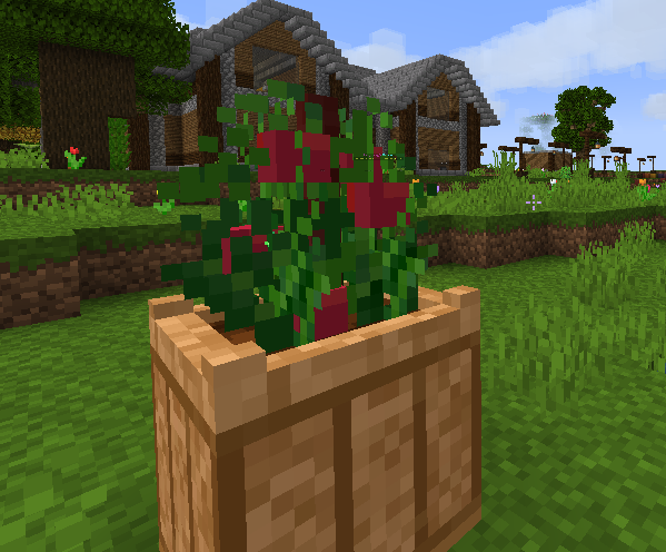 tomato4.png tomato4.png