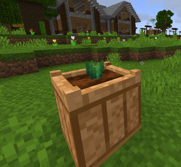 pineapple1.png pineapple1.png