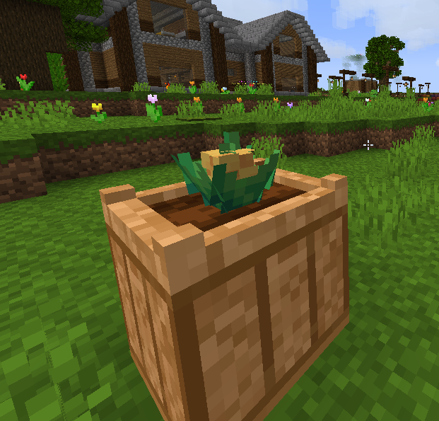 pineapple3.png pineapple3.png