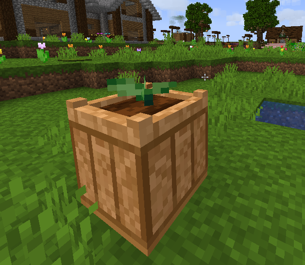 peppers1.png peppers1.png