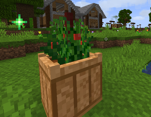 tomato3.png tomato3.png