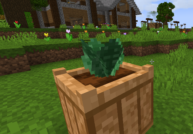 cabbage2.png cabbage2.png