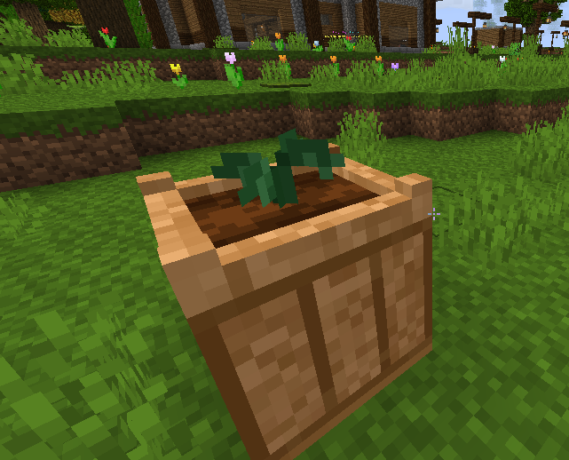 cabbage1.png cabbage1.png