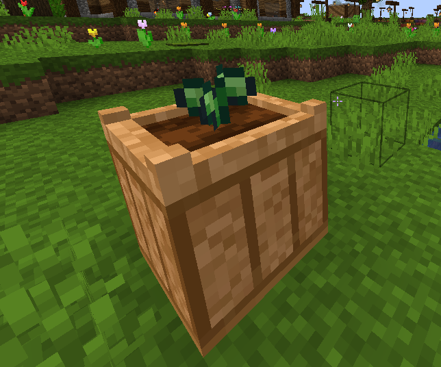 corn1.png corn1.png