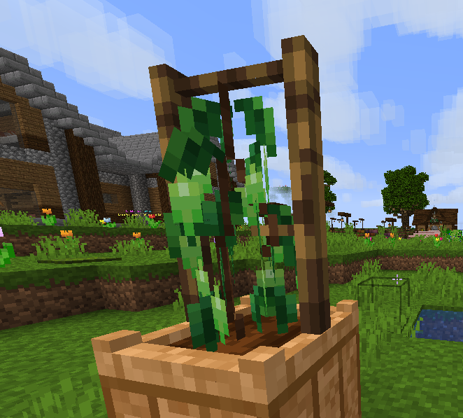 hops3.png hops3.png