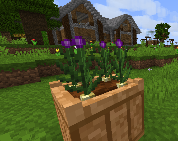 garlic3.png garlic3.png