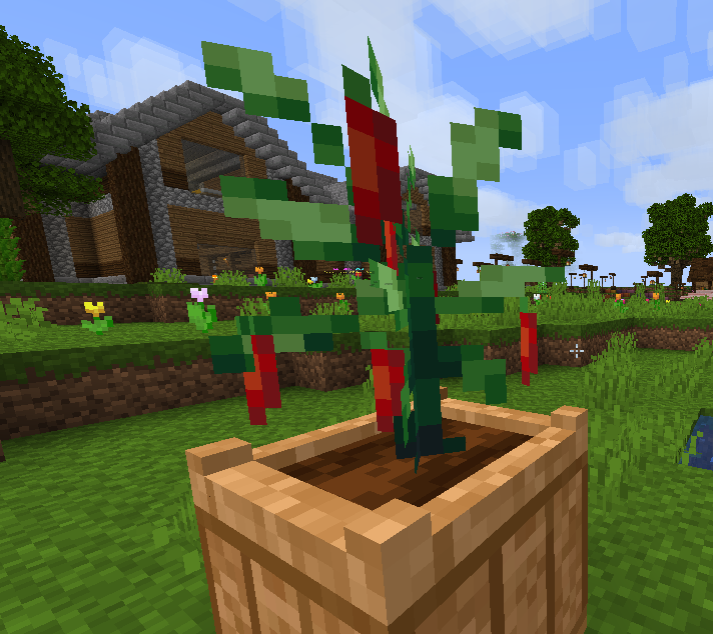 peppers5.png peppers5.png