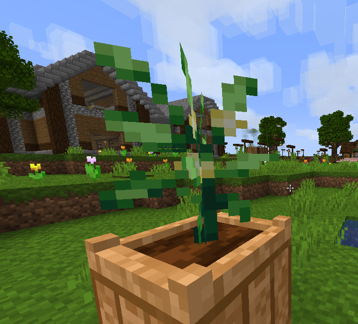 peppers4.png peppers4.png