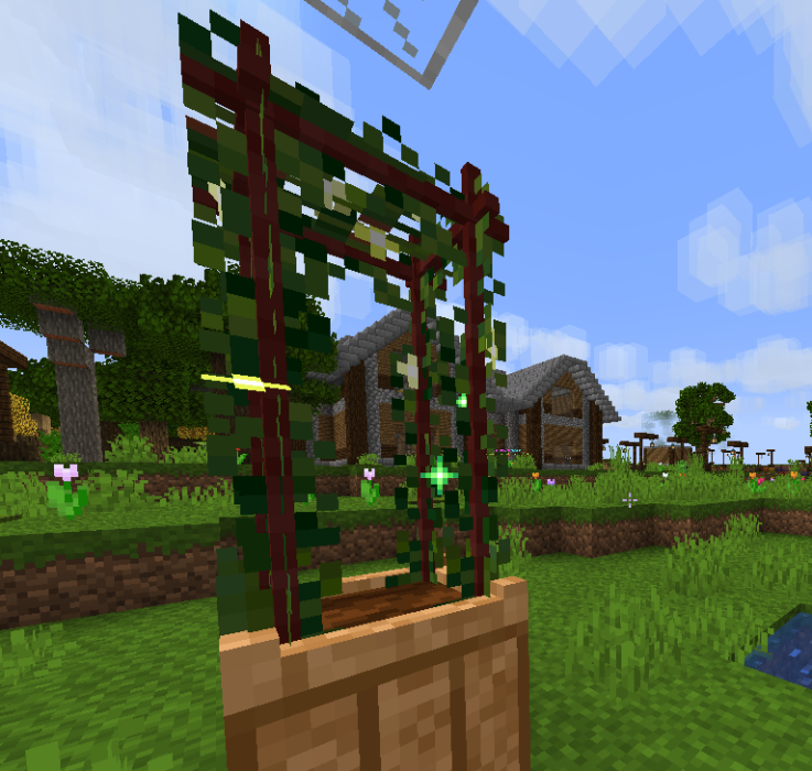 grape5.png grape5.png