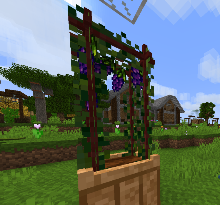 grape6.png grape6.png