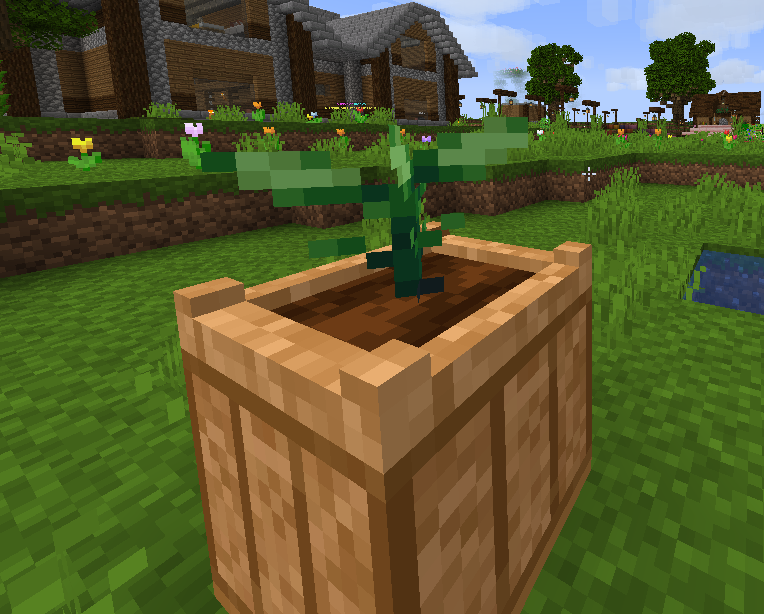 peppers2.png peppers2.png