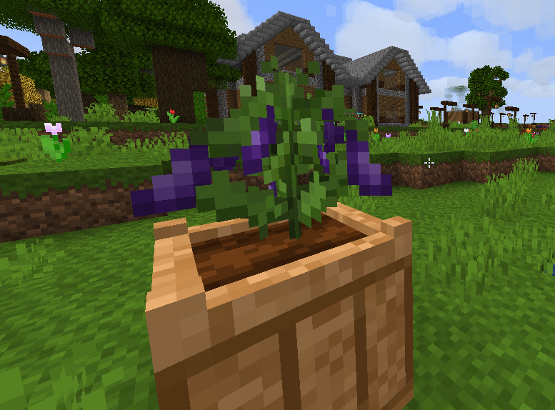 eggplant4.png eggplant4.png