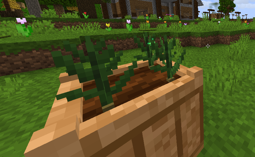 garlic2.png garlic2.png
