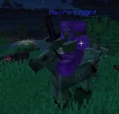 Necro knight