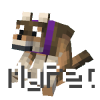 MyPet Link