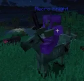 Necro knight Necro knight