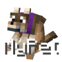 mypet.png