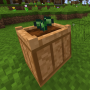 corn1.png