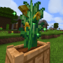 corn4.png