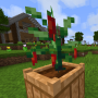 peppers5.png