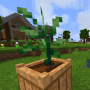 peppers3.png