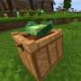 cabbage3.png