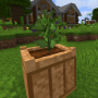 eggplant3.png
