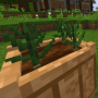garlic2.png