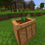 pineapple1.png