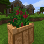 tomato4.png