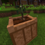 apple1.png