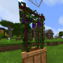 grape6.png